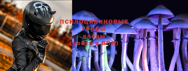 марки nbome Заводоуковск