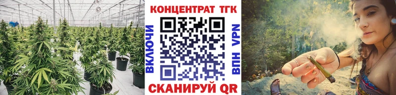 блэк спрут как зайти  купить   Змеиногорск  ТГК THC oil 